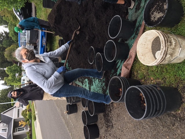 gardening3