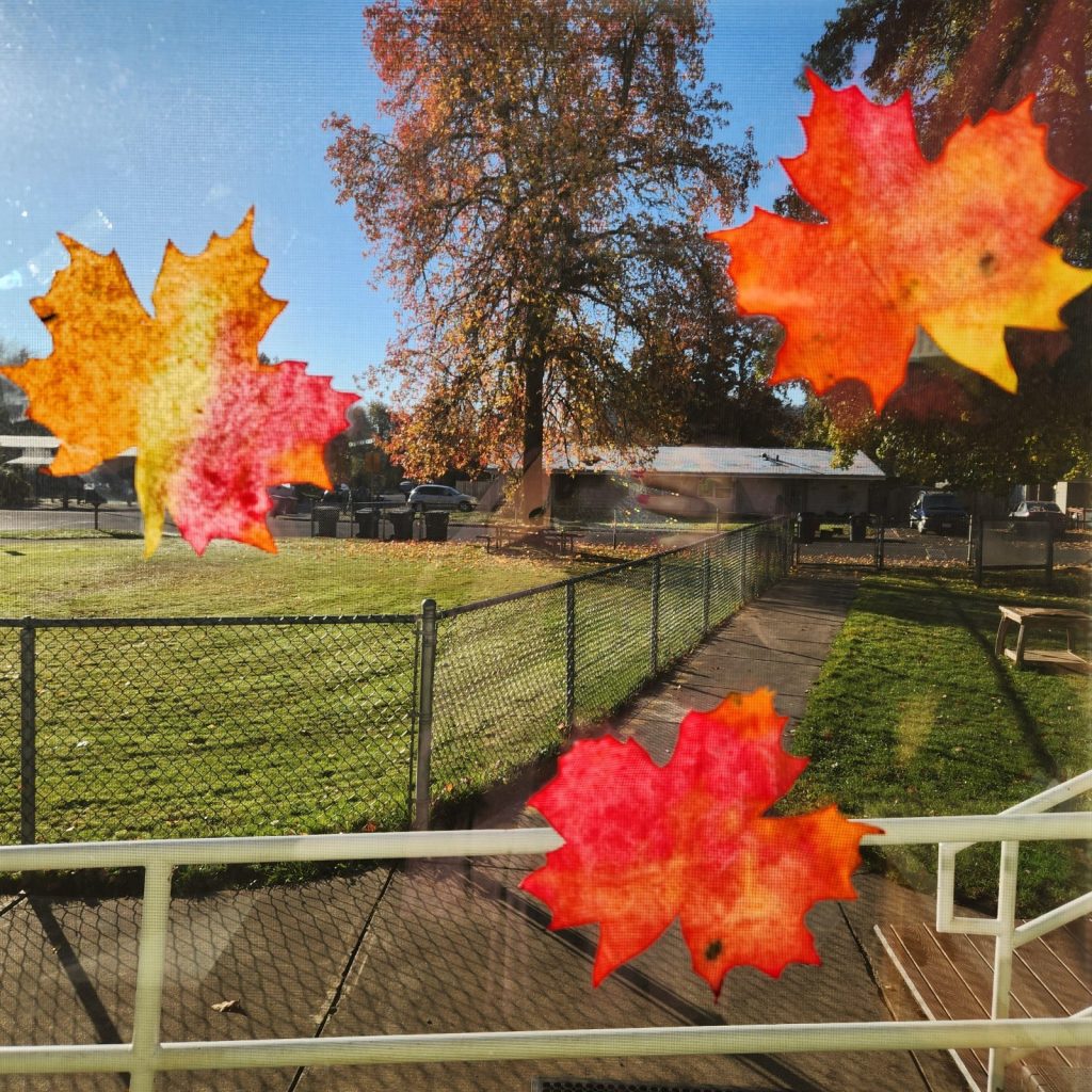 tree4