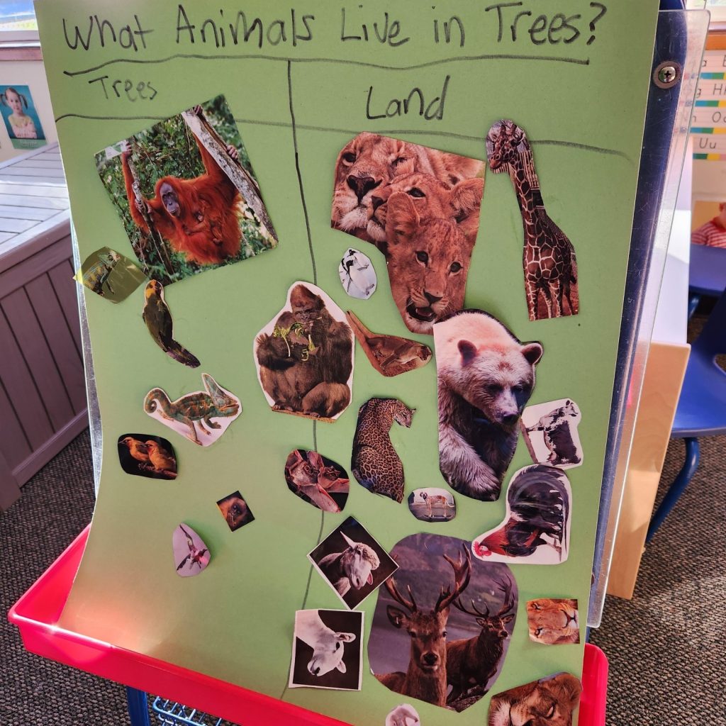 trees5