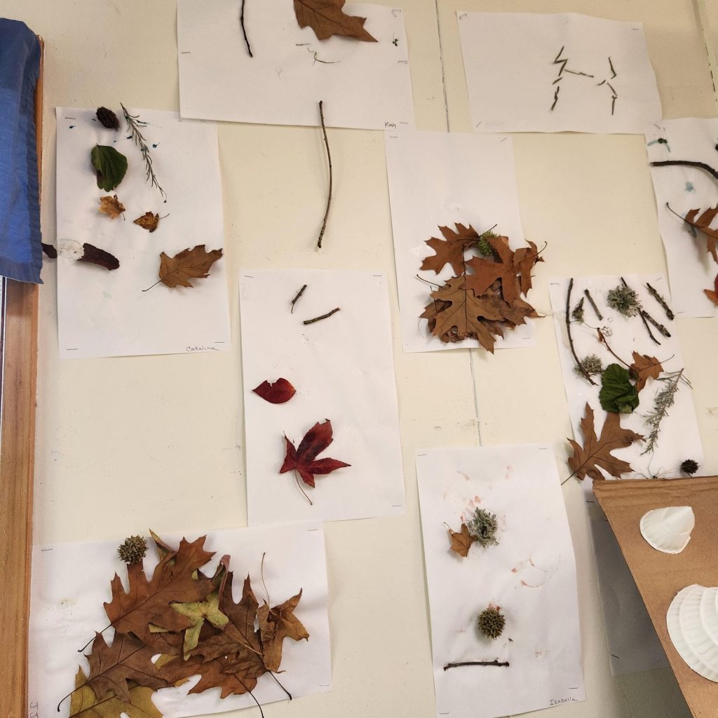 trees8