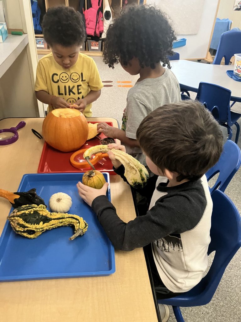pumpkin8